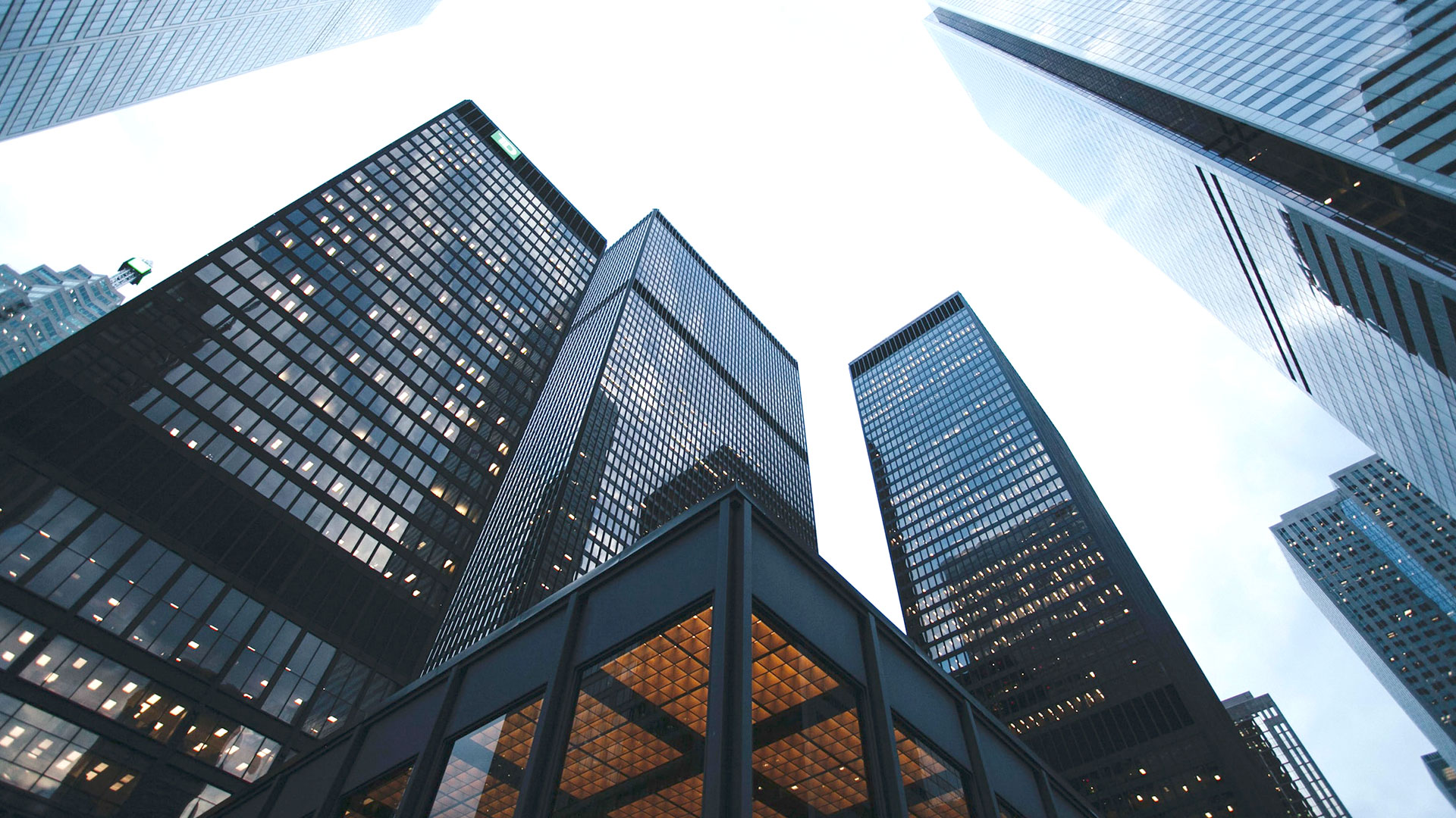 77����-ר������ָ��������ƽ̨