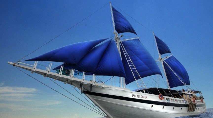 �﷫������77����֮�����ֻ�������