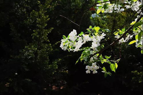 ΢��ͼƬ_20190704100449 ����.jpg